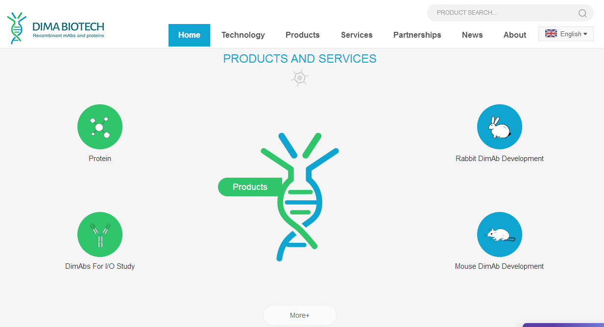 武漢網站建設 武漢網站建設